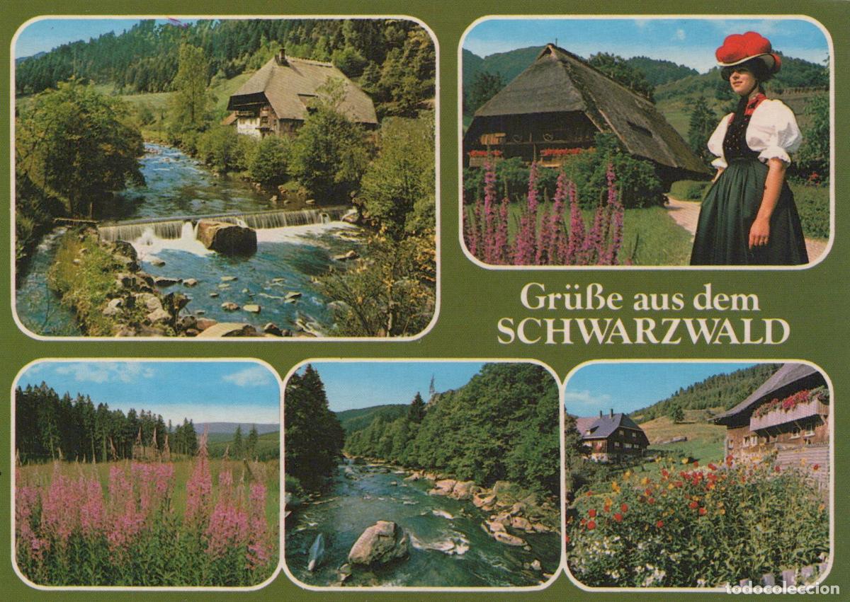 Cartes Postales: Germany Black Forest Collage of Scenes With Traditional Houses Unposted *YAV568