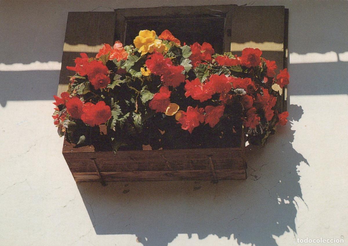 Cartoline: Austria Tyrol Window Box With Red and Yellow Flowers *YAV598