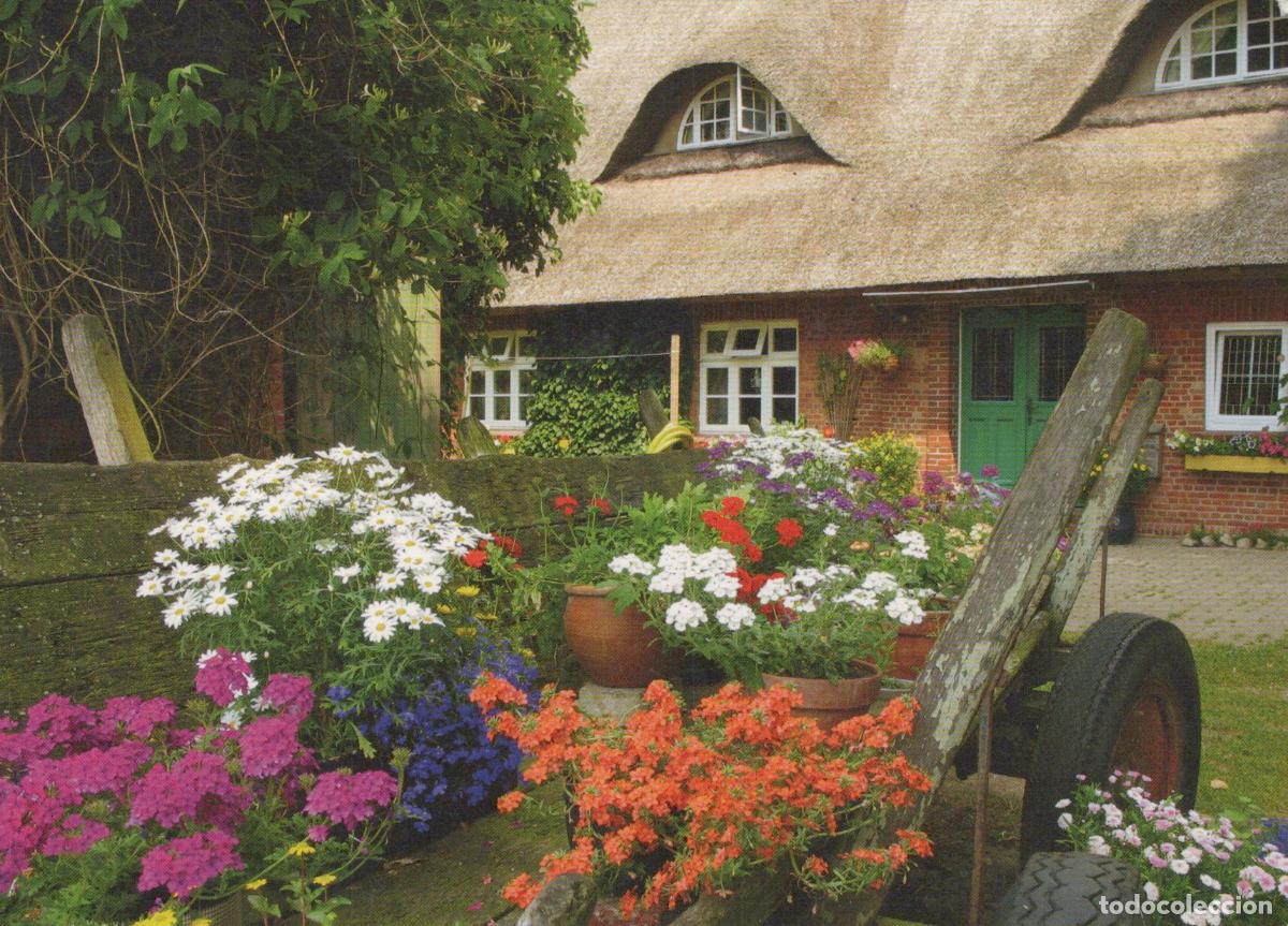 Cartoline: Germany Thatched Roof House With Colorful Flowers and Wooden Cart *YAV600