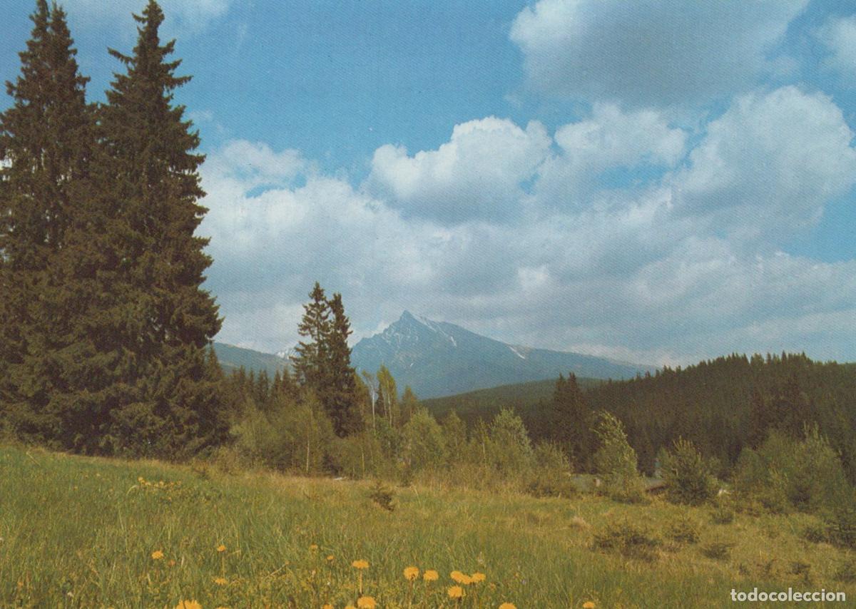 Cartoline: Slovakia High Tatras Krivan Mountain Peak Landscape Forest Unposted *YAV625