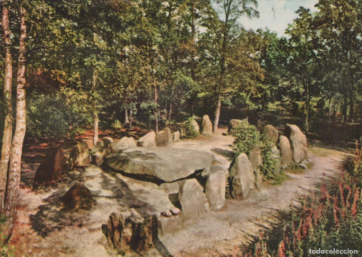Cartes Postales: Germany Fallingbostel Sieben Steinh&auml;user Megalithic Tomb Ancient Burial *YAV482