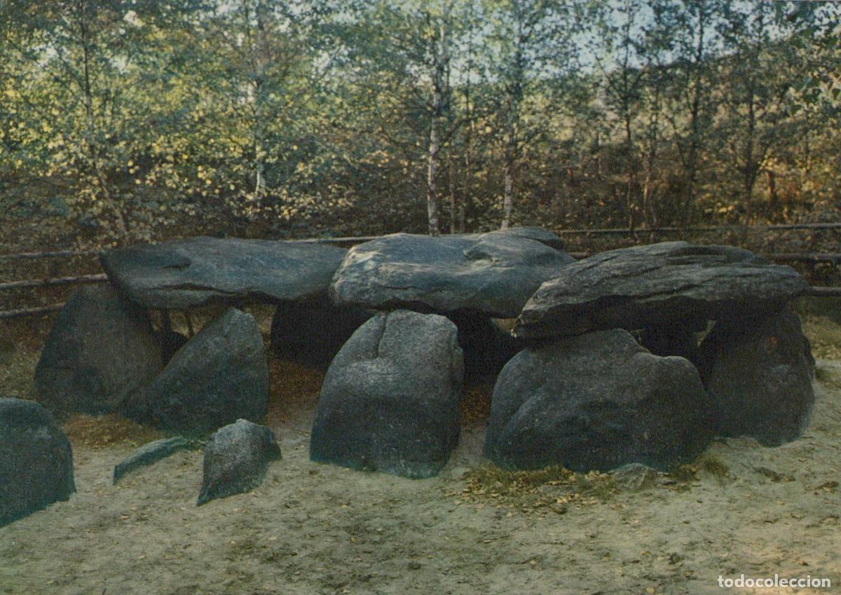 Cartes Postales: Germany Fallingbostel Sieben Steinh&auml;user Megalithic Tomb Ancient Burial *YAV484