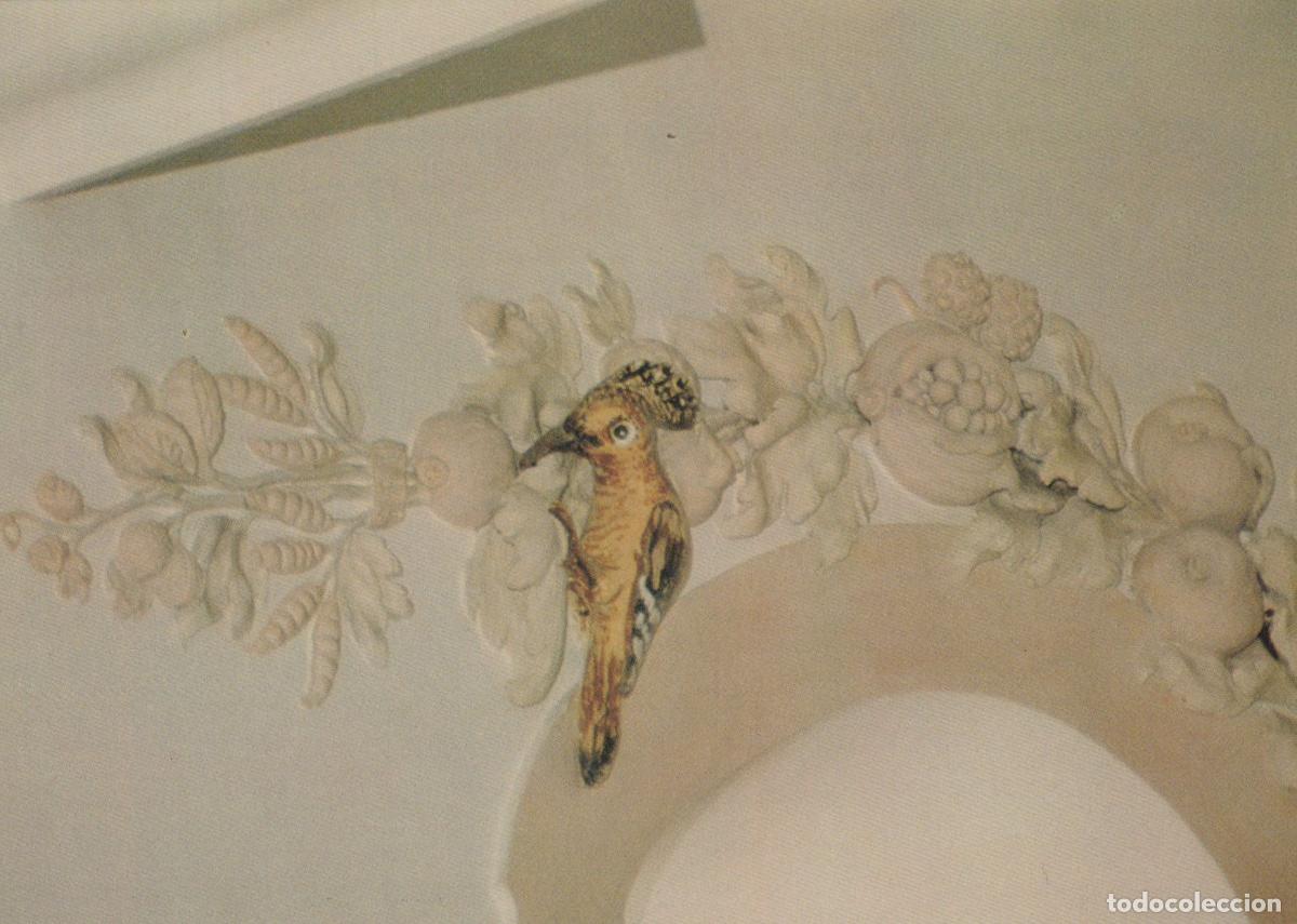 Postais: Germany Bad Schussenried Steinhausen Wallfahrtskirche Hoopoe Unposted *YAV710