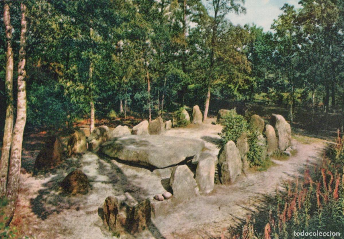 Postkarten: Germany Fallingbostel Sieben Steinh&auml;user Megalithic Tomb Unposted *YAV773