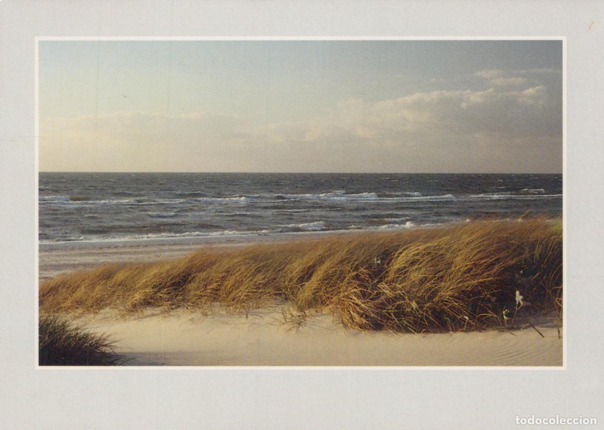 Cartoline: Germany Kiel Baltic Sea Beach Dunes Landscape Rough Waves Sandy Shore *YAV821