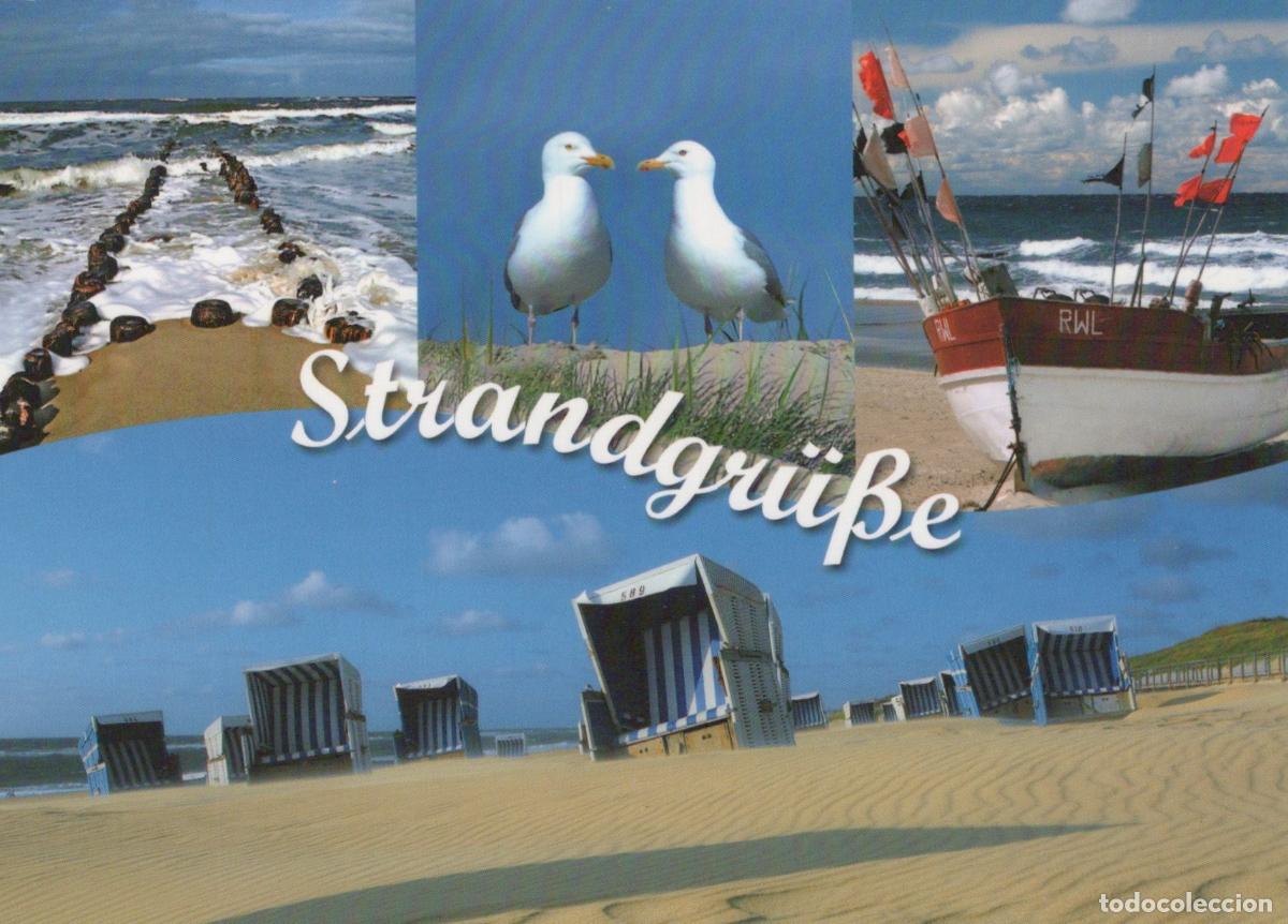 Postcards: Germany Wilkau Ha&szlig;lau Collage of Beach Scenes With Seagulls A Fishing *YAV833
