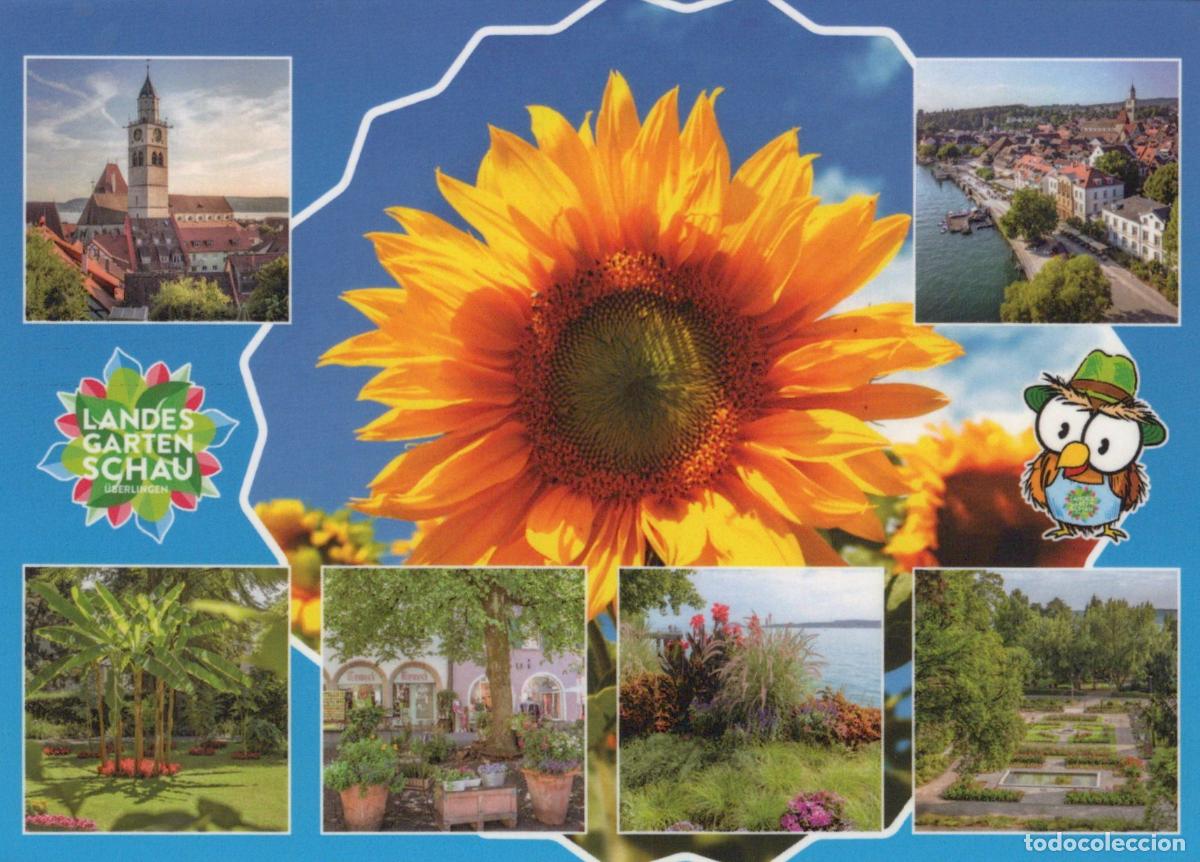 Postcards: Germany &Uuml;berlingen Landesgartenschau Sunflower Lake Constance *YAV835