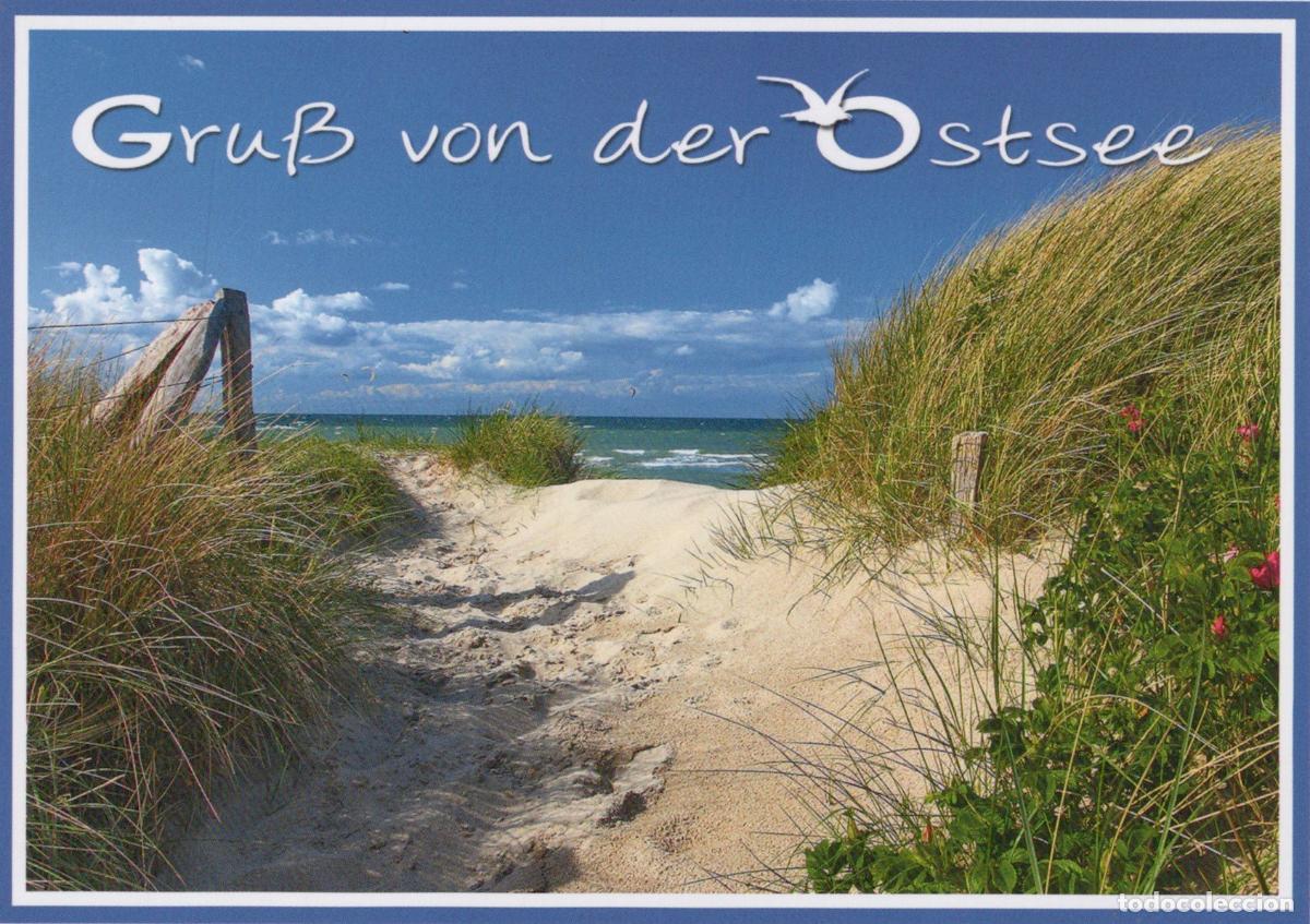 Postcards: Germany Warnem&uuml;nde Sand Dunes Beach Path Landscape Gruss von der Ostsee *YAV838