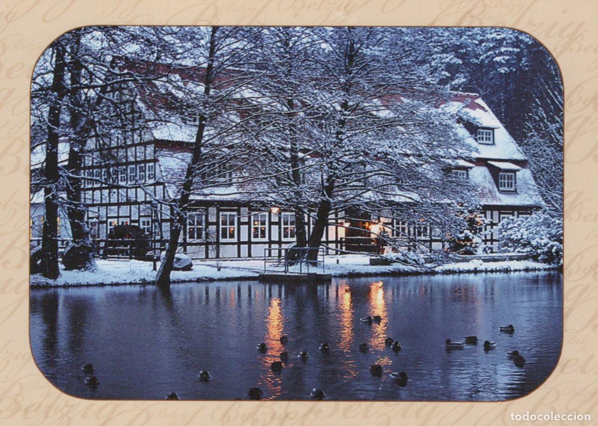 Cartes Postales: Germany Bad Belzig Springbach M&uuml;hle Winter Snow Scene With Ducks On Pond *YAV861