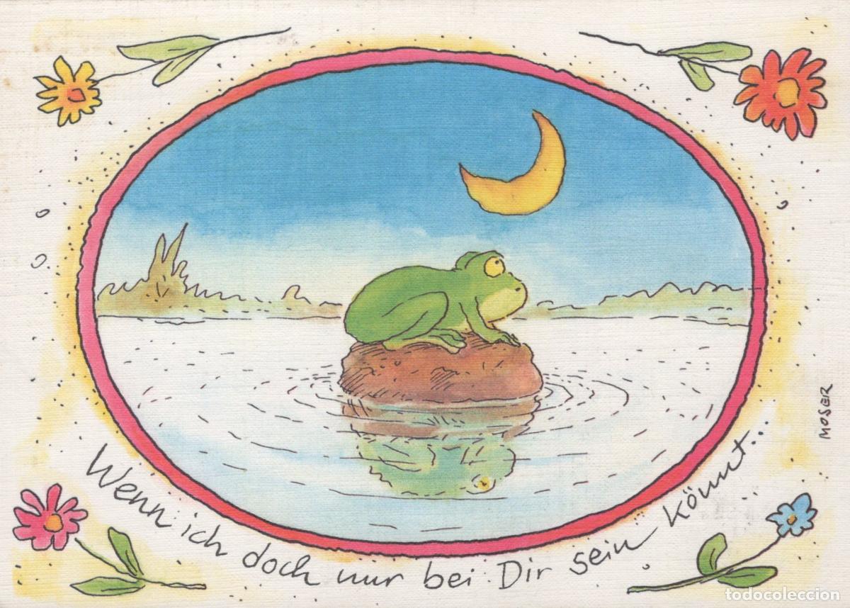Cartes Postales: Germany W&uuml;rzburg Art Frog On Rock in Water Moon Flowers Wenn Ich Doch *YAV664
