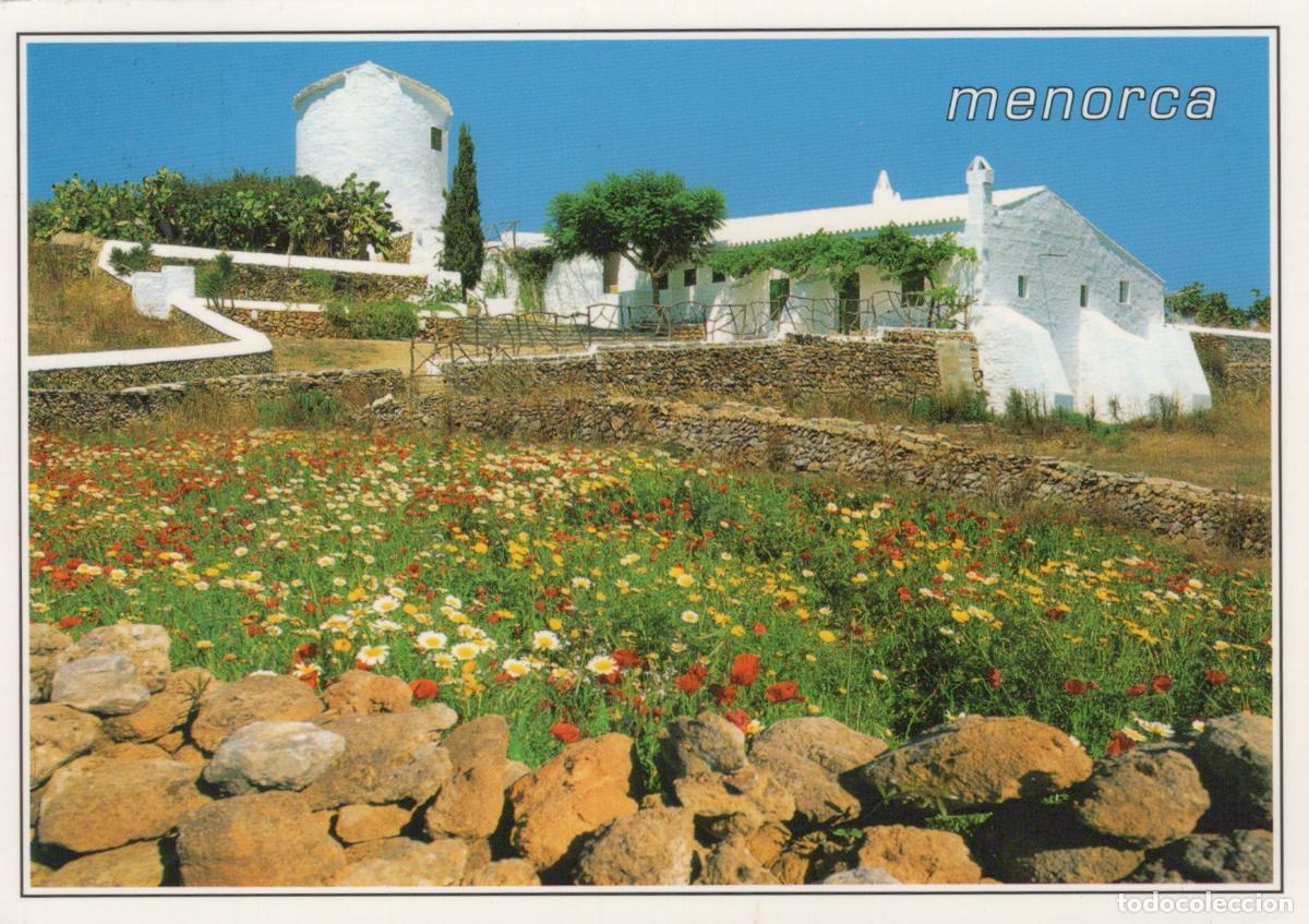 Cartes Postales: Spain Menorca White Farmhouse and Windmill With Wildflower Field *YAV674