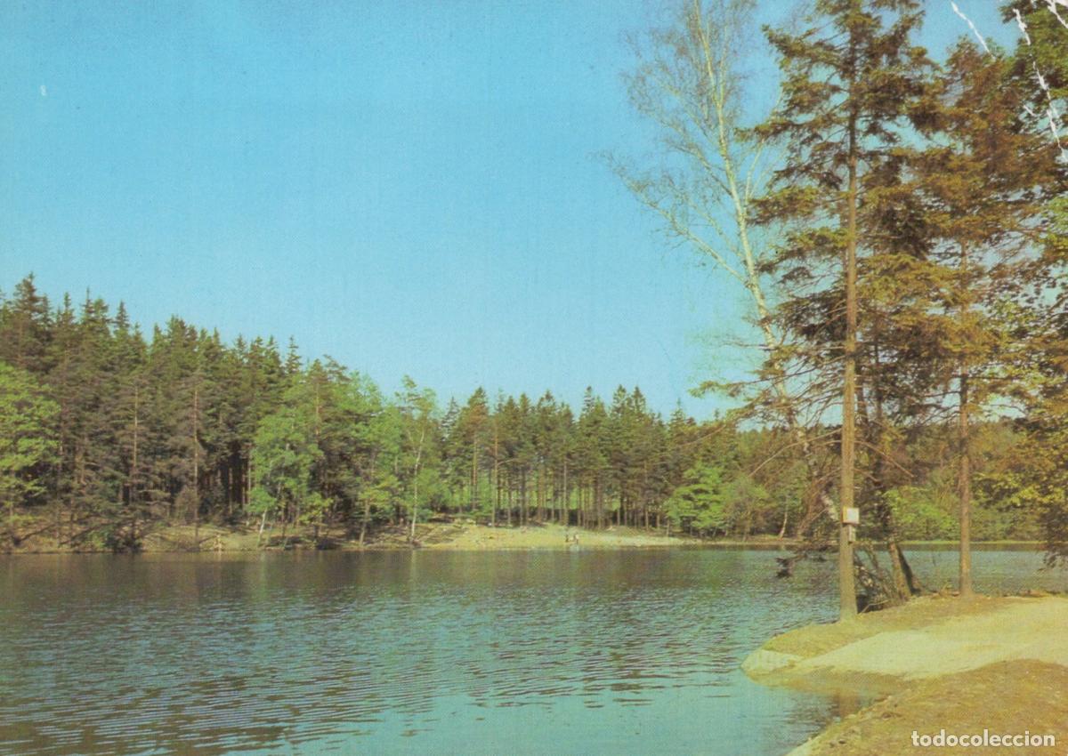 Cartes Postales: Germany Reichenbach Vogtl Lake Landscape Forest and Water East Unposted *YAV925