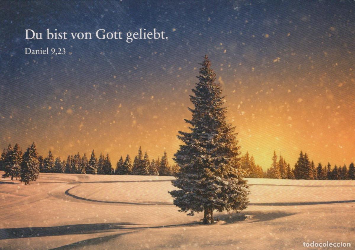 Postcards: Germany Winter Landscape Snowy Forest Christmas Tree Sunset Bible Verse *YAV936