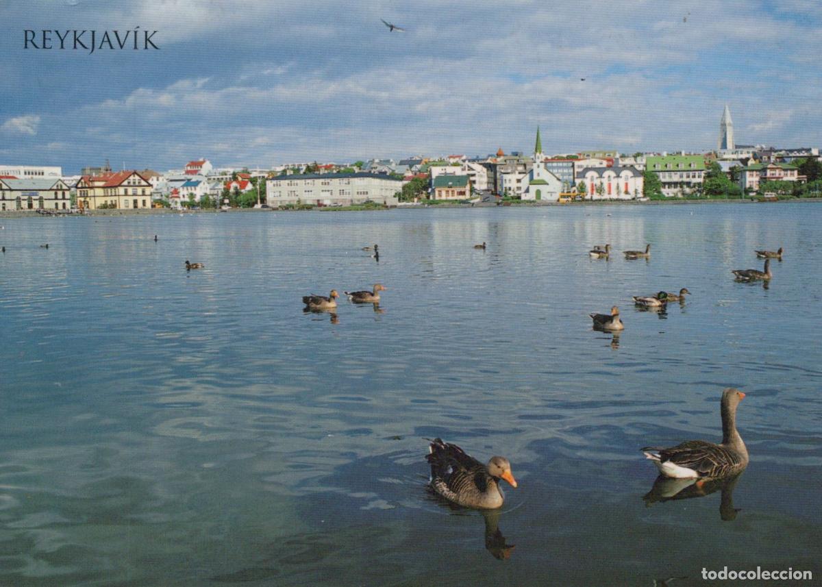 Cartes Postales: Iceland Reykjavik Tjorn Lake Cityscape Ducks Geese Architecture *YAV950