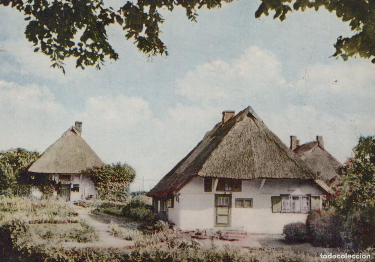 Cartes Postales: Germany Fischland Thatched Roof Farmhouses Rural Landscape *YAV958