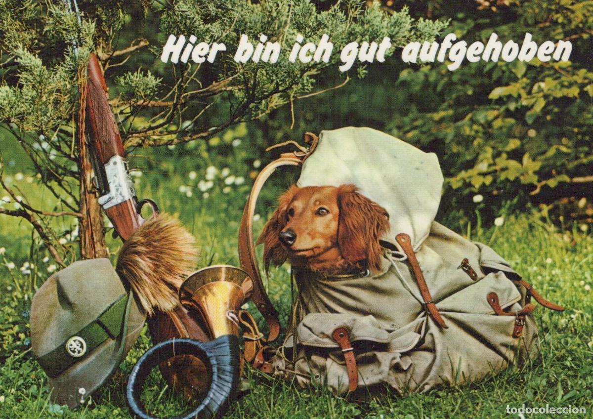 Cartes Postales: Germany Garmisch Partenkirchen Dachshund Dog Hunting Gear Unposted *YAV960