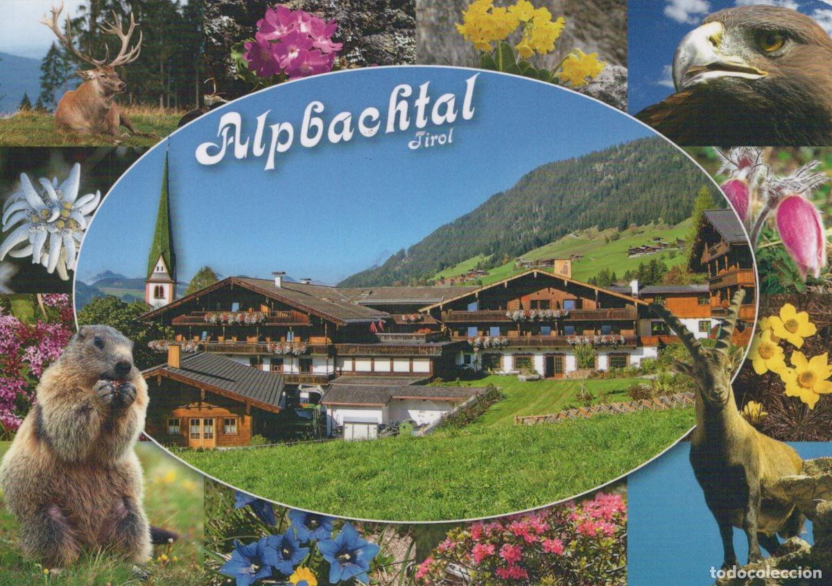 Postales: Austria Alpbachtal Tirol Mountain Village Hotel Collage Wildlife Flowers *YAV980