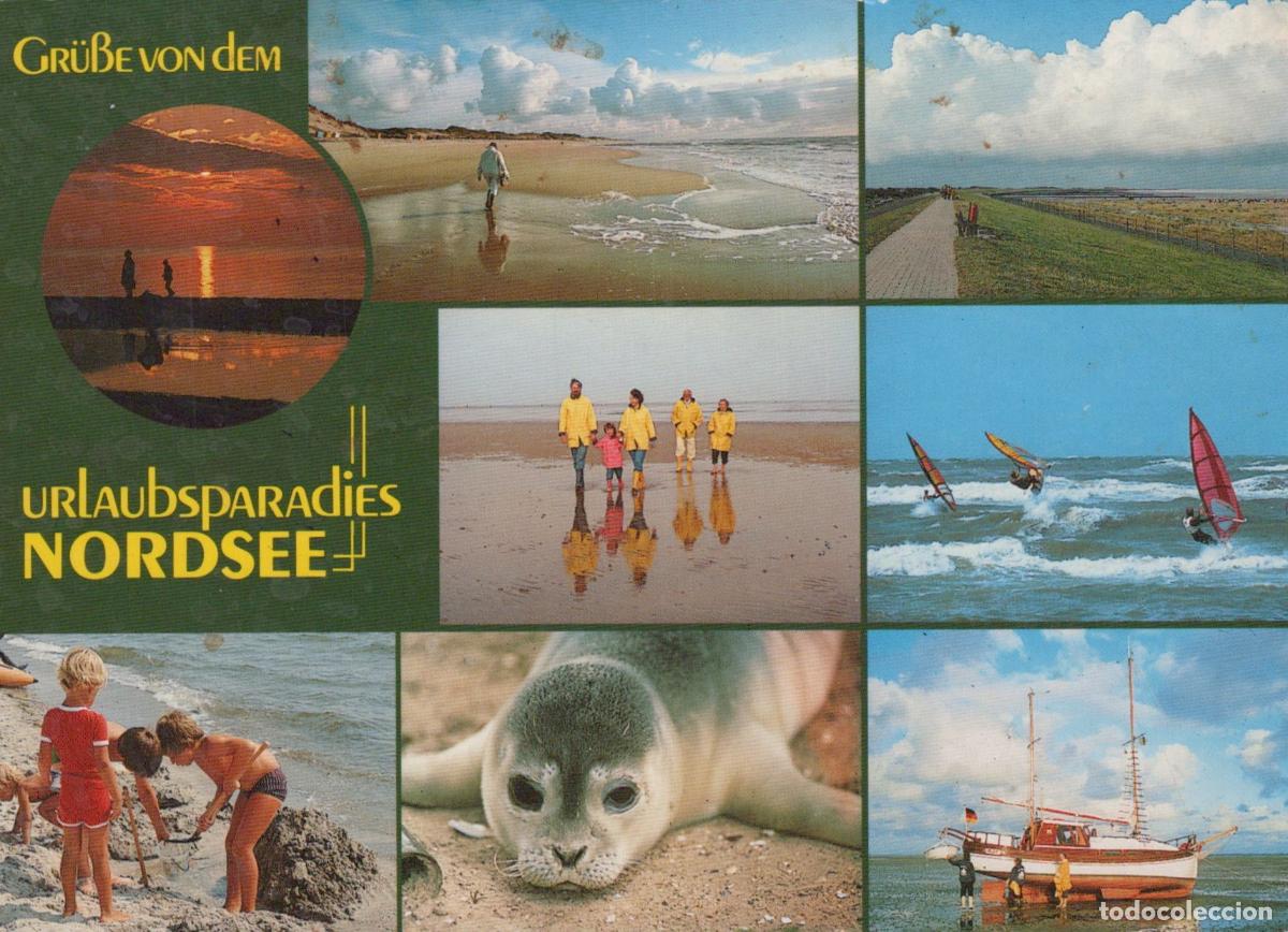 Postcards: Germany Borkum Holiday Paradise Multi View Beach Seal Windsurfing *YAV812