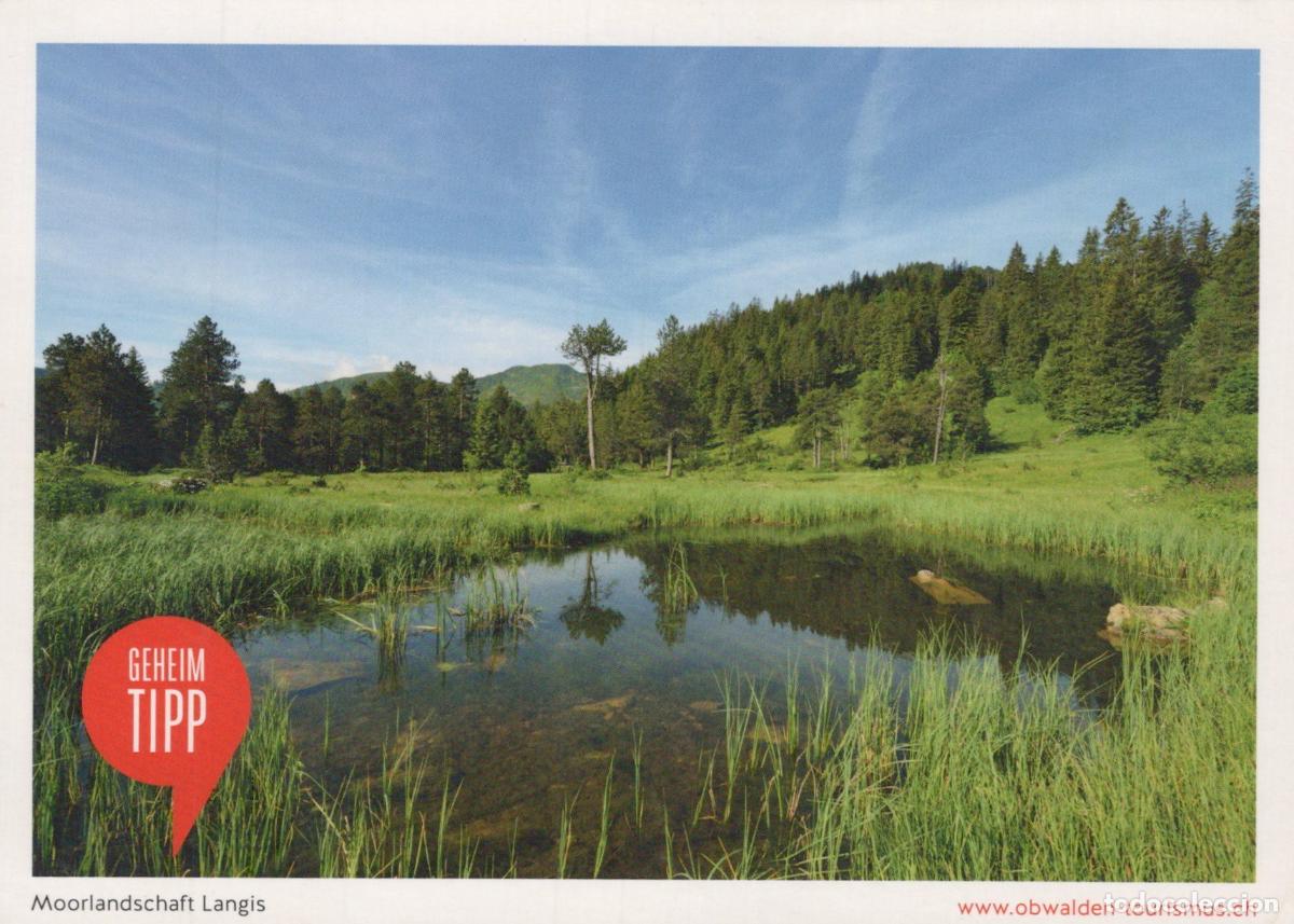 Postcards: Switzerland Langis Moorlandschaft Scenic Landscape With Pond *YAV849
