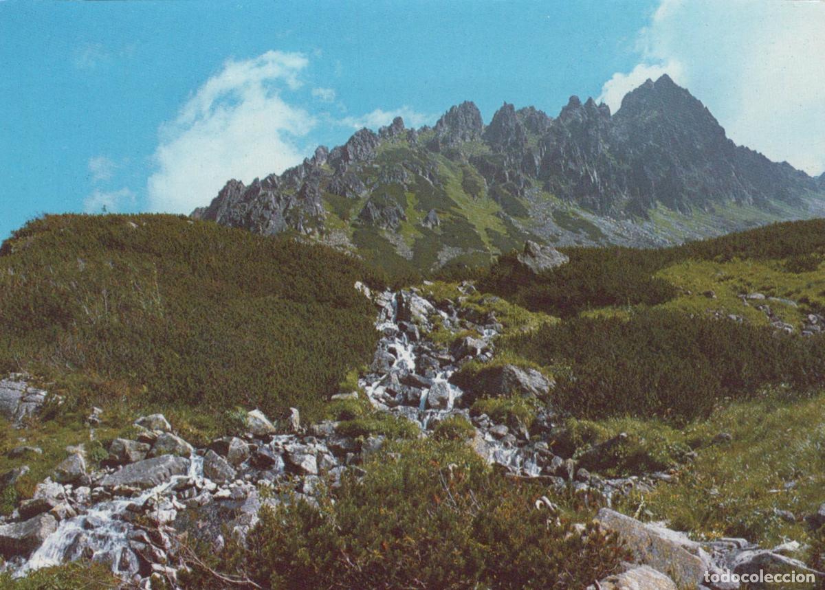 Cartes Postales: Slovakia Hruby Peak Massif Litvorova Valley Mountain Stream Unposted *YAV922