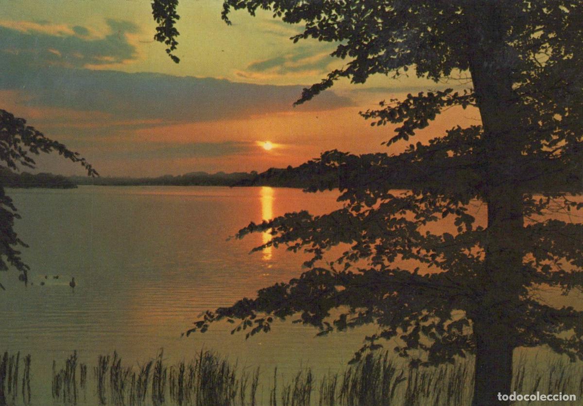 Cartoline: Germany Malente Gremsm&uuml;hlen Sunset Over Lake With Trees and Reeds *YAV959