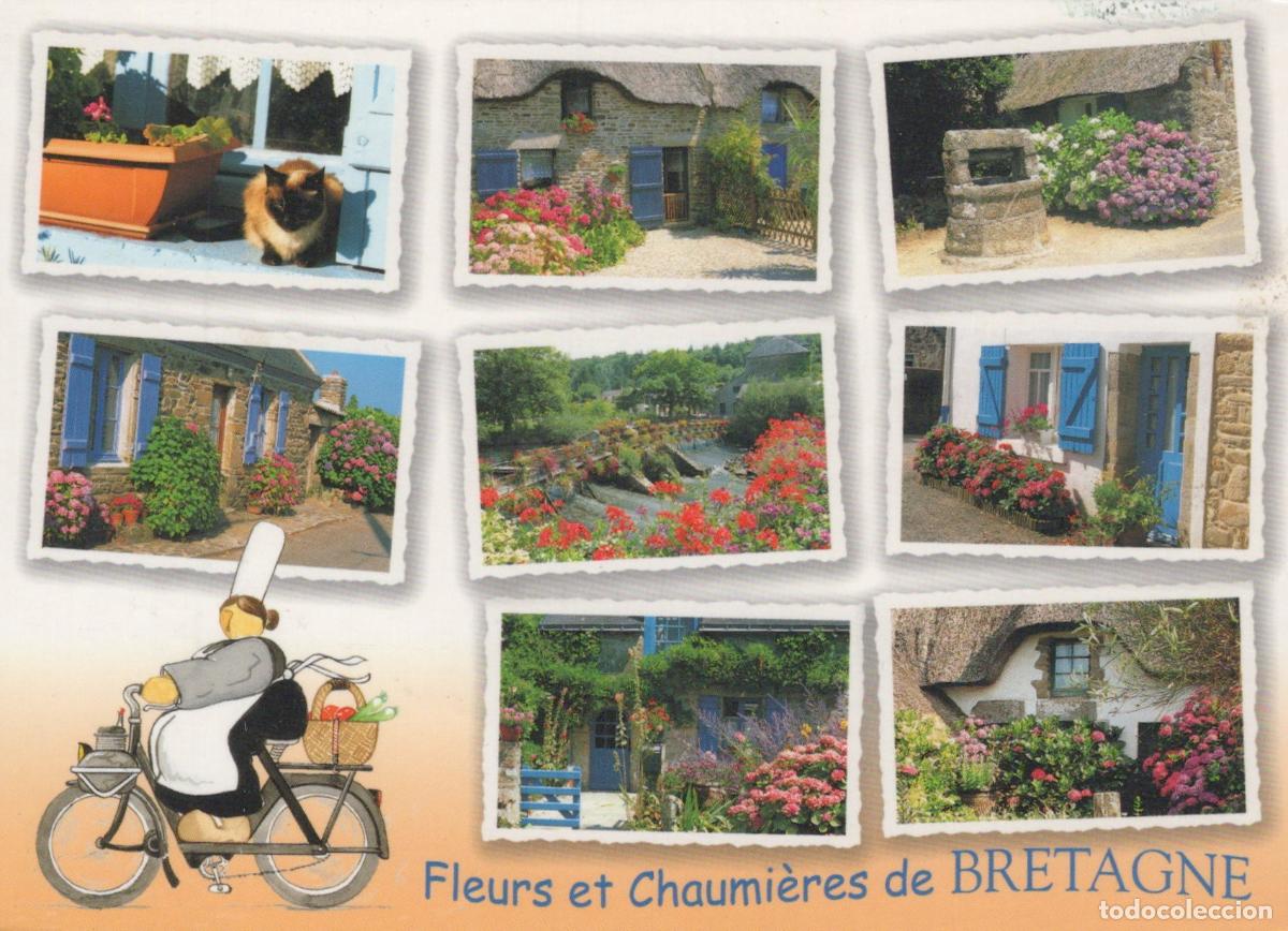 Cartoline: France Flowers and Thatched Cottages Rural French Landscape *YAV969