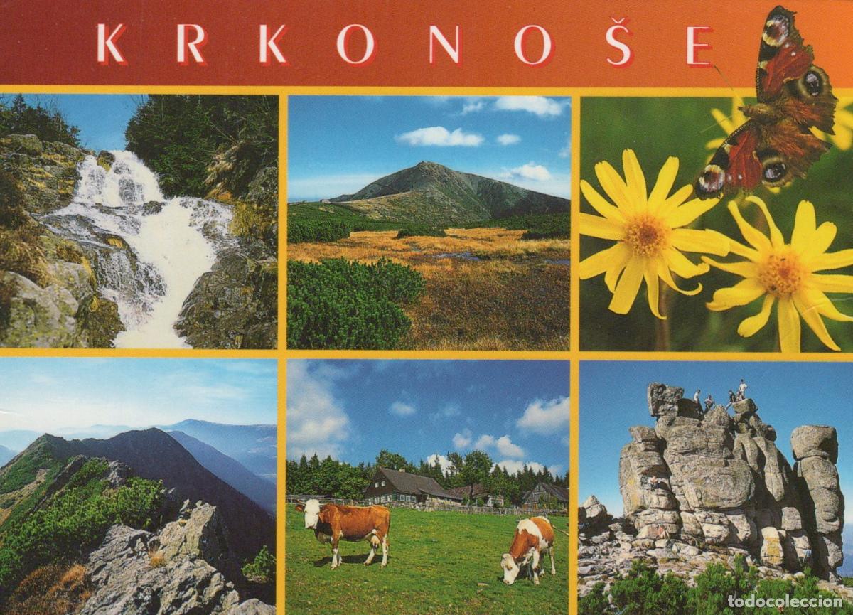 Cartes Postales: Czech Republic Giant Mountains Waterfall Peak Flowers Cows Rocks *YAW023