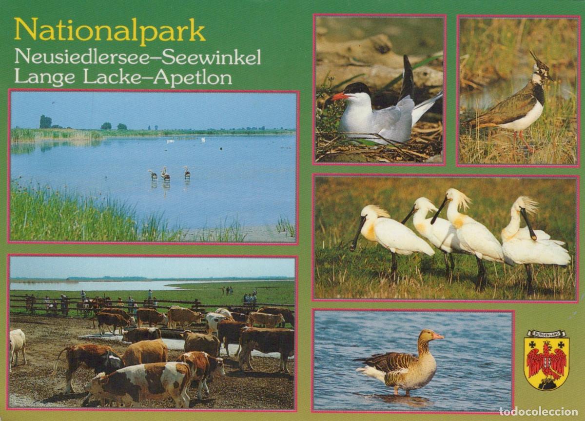 Cartes Postales: Austria Apetlon Nationalpark Neusiedlersee Seewinkel Lange Lacke *YAW022