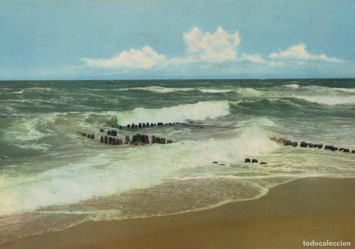 Postales: Germany Sylt Island North Sea Beach Waves Wooden Groynes *YAW055