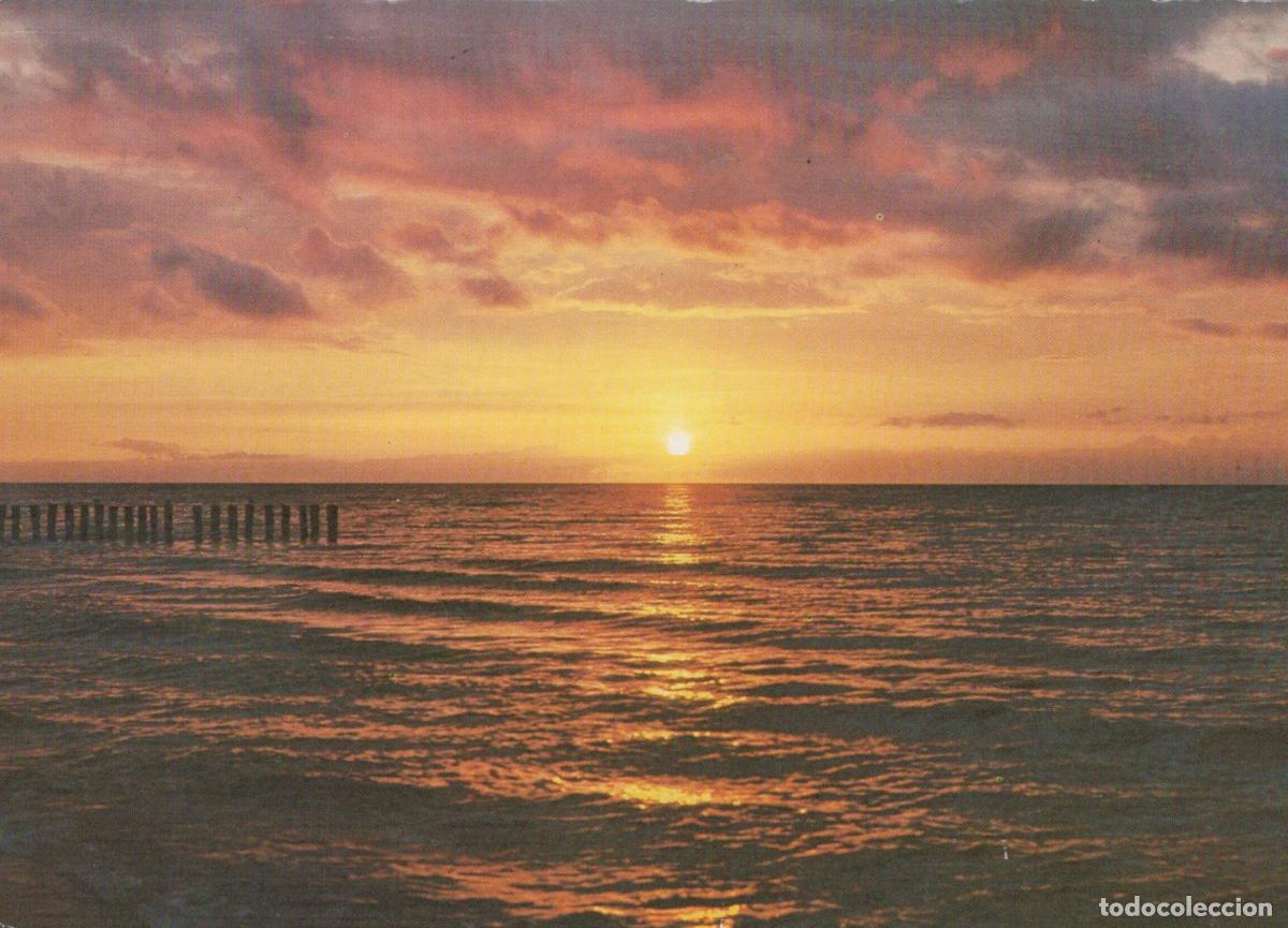 Postales: Germany Rostock Baltic Sea Sunset With Wooden Groynes *YAW056