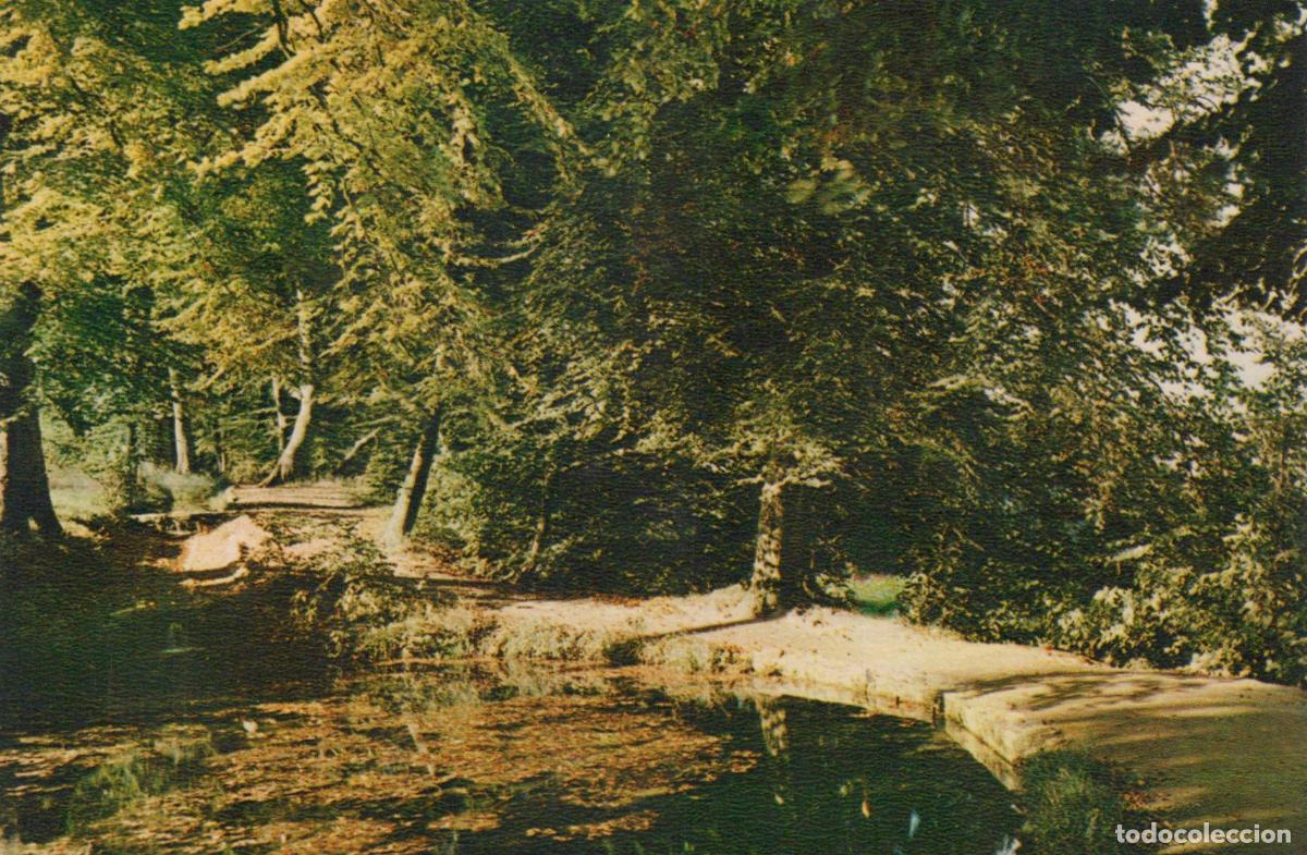 Postcards: Germany Malente Gremsm&uuml;hlen Spa Spiegelteiche Pond Lush Green Unposted *YAW059