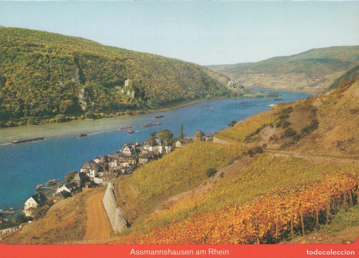 Postales: Germany Assmannshausen Am Rhein Rhine River Valley Landscape Unposted *YAW215
