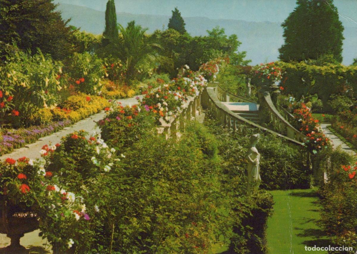 Cartoline: Germany Mainau Island Lake Constance Schloss Terrace Rose Garden Steps *YAW240