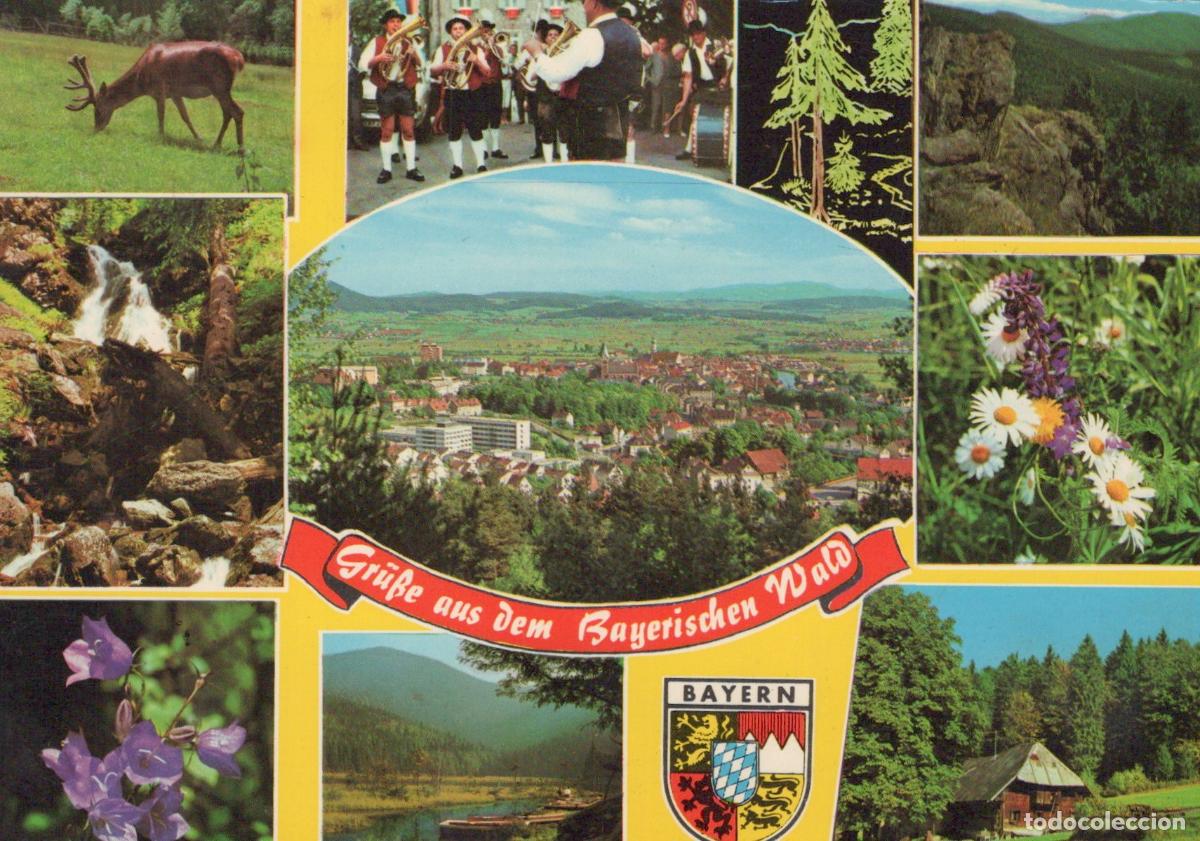 Postcards: Germany Cham Bavarian Forest Collage With Deer Waterfall Town View *YAW263