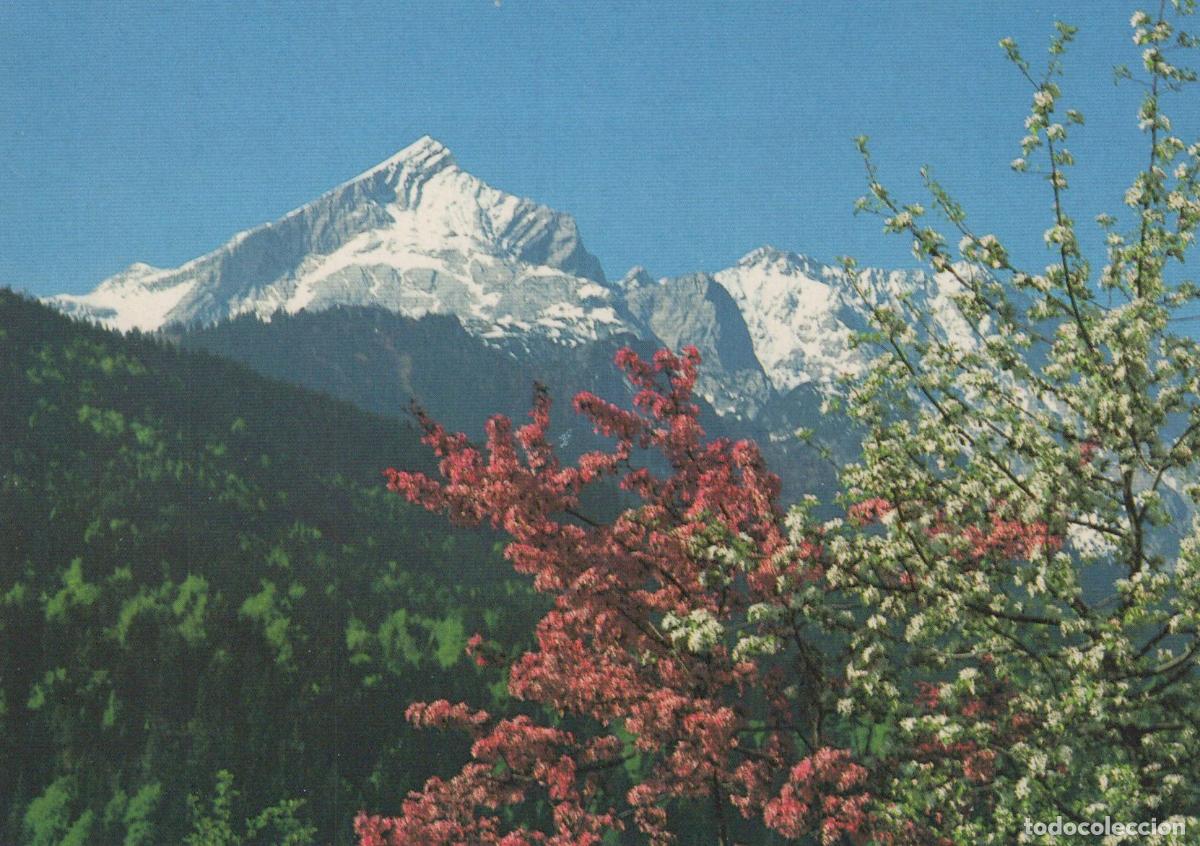 Postcards: Germany Alpspitze Mountain Wettersteingebirge Spring Blossoms Unposted *YAW212