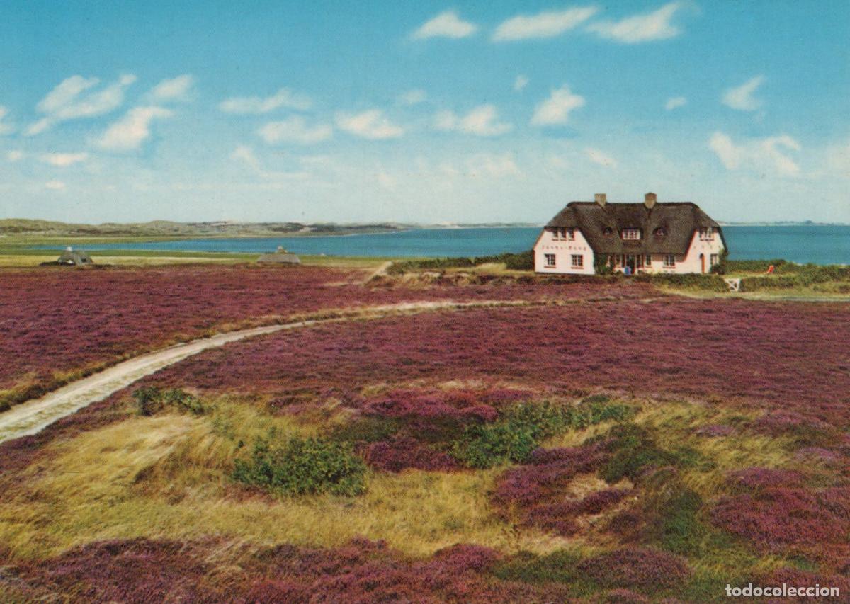 Postales: Germany Sylt Island Friesenhaus in the Heath Thatched Roof Unposted *YAW296