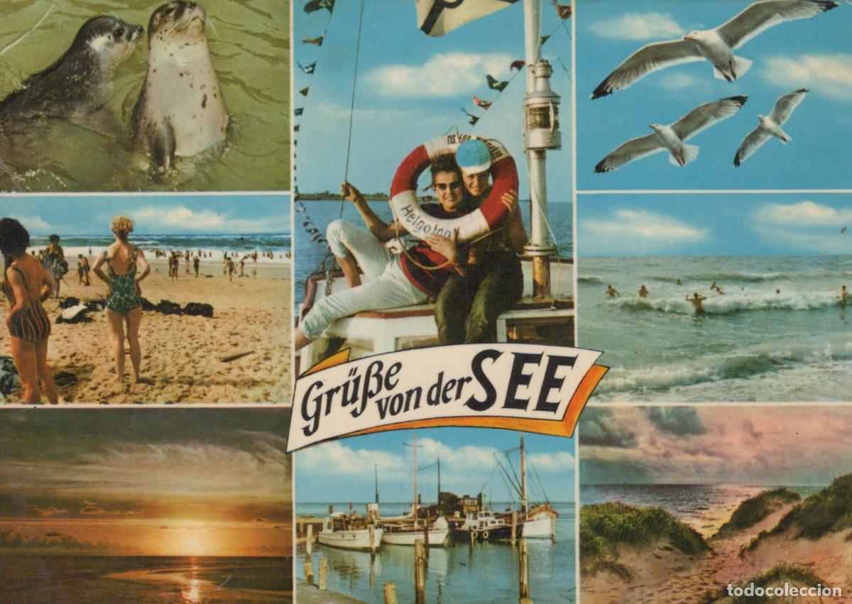 Postcards: Germany Westerland German Seaside Collage Seals Beach Boats Sunset Dunes *YAW269