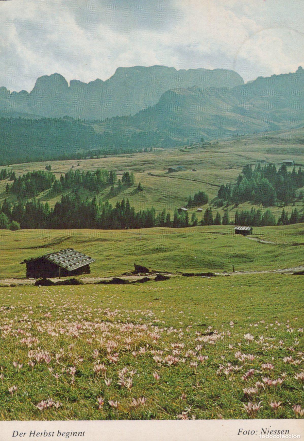 Postkarten: Italy South Tyrol Rosengarten Massif With Seiser Alm Landscape *YAW441