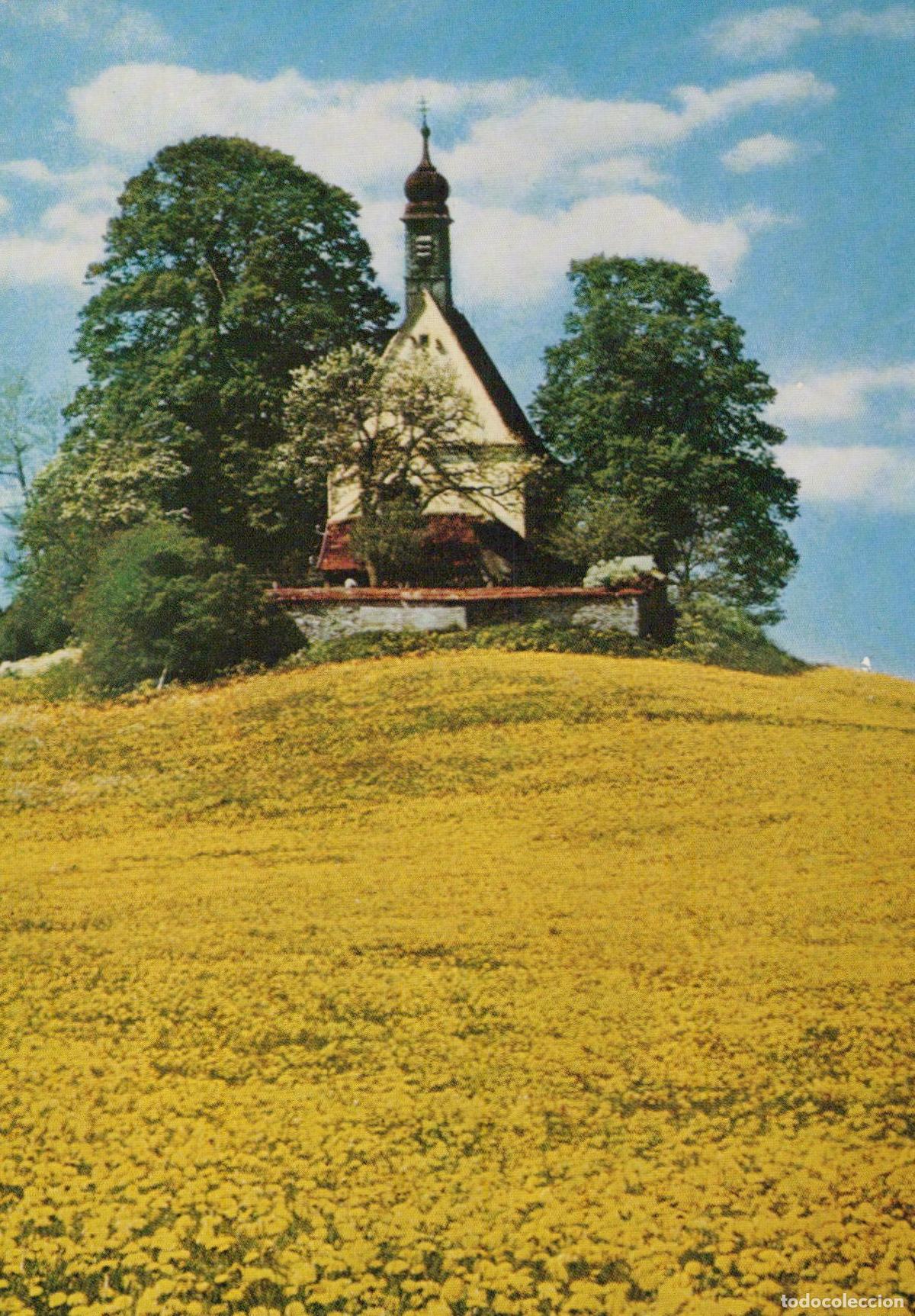 Postkarten: Germany Wolfegg Loreto Chapel With Yellow Flower Field 1960s Unposted *YAW450
