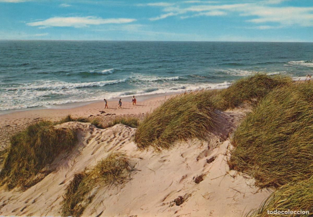 Cartes Postales: Germany Beach Dunes With People Ocean View Western Unposted *YAW327