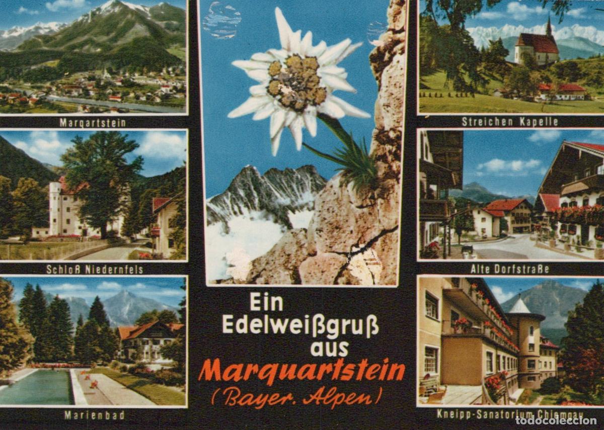 Postkarten: Germany Marquartstein Bavarian Alps Multi View Edelweiss Unposted *YAW374