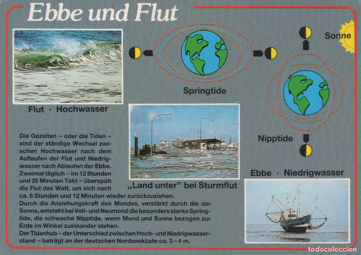 Postkarten: Germany Ebbe und Flut Tides Springtide Nipptide High Tide Low Unposted *YAW382
