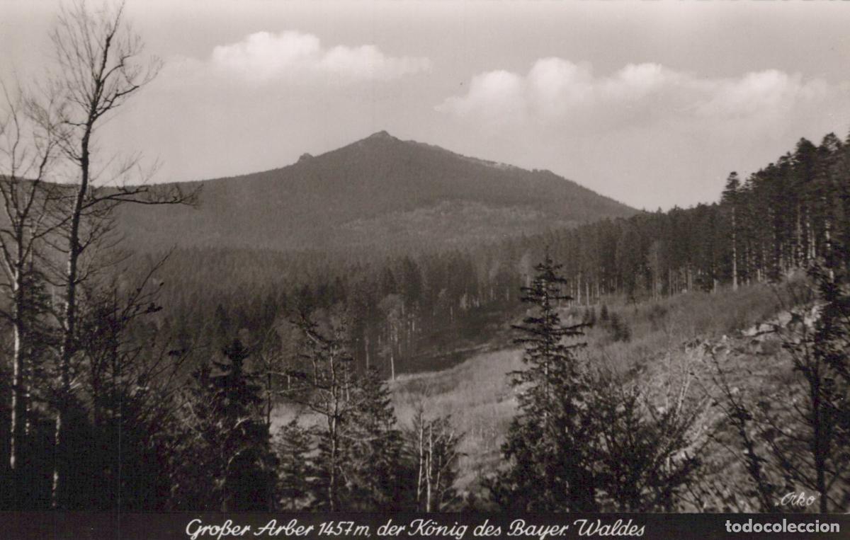 Postkarten: Germany Gro&szlig;er Arber 1457m King of the Bavarian Forest Unposted *YAW753