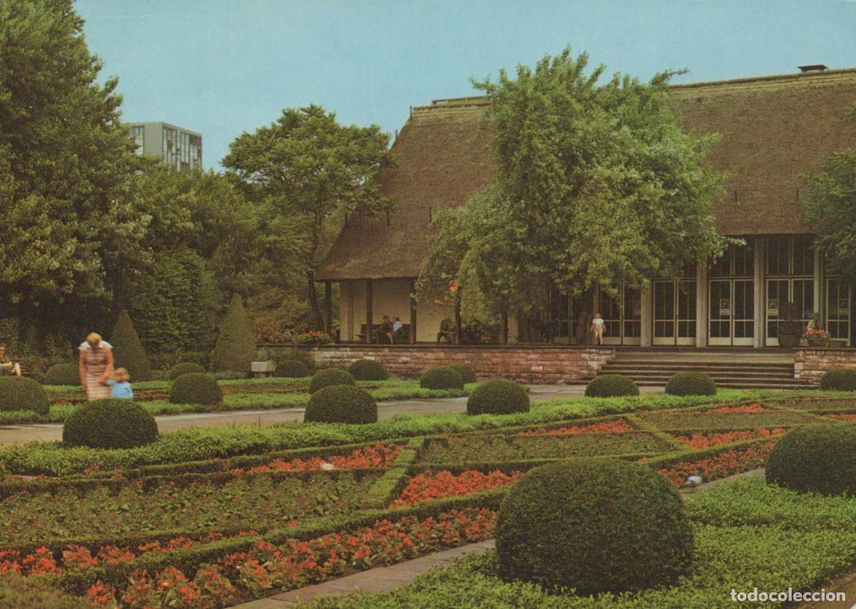 Postales: Germany Berlin English Garden Formal Hedges and Thatch Roofed Building *YAW955