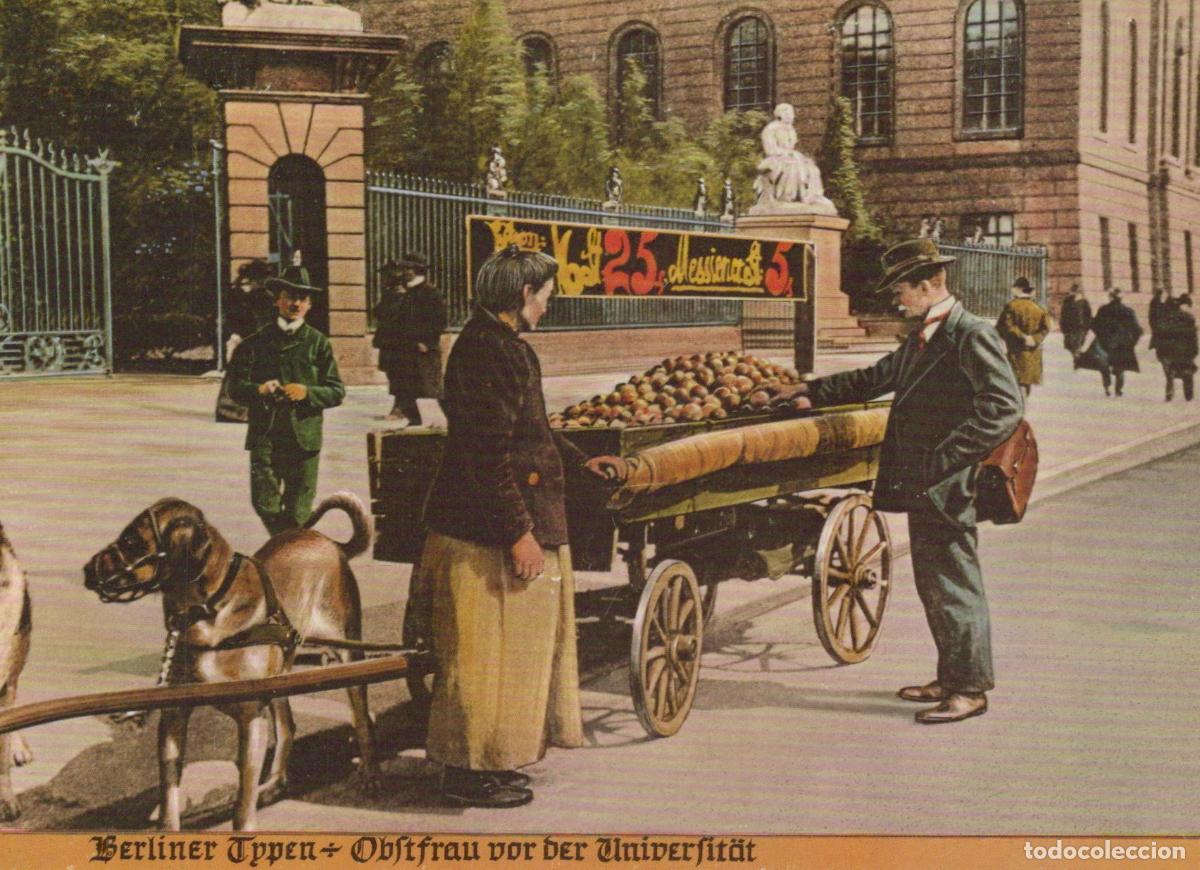 Cartoline: Germany Berlin Fruit Seller Woman With Dog Cart in Front of Unposted *YAW980