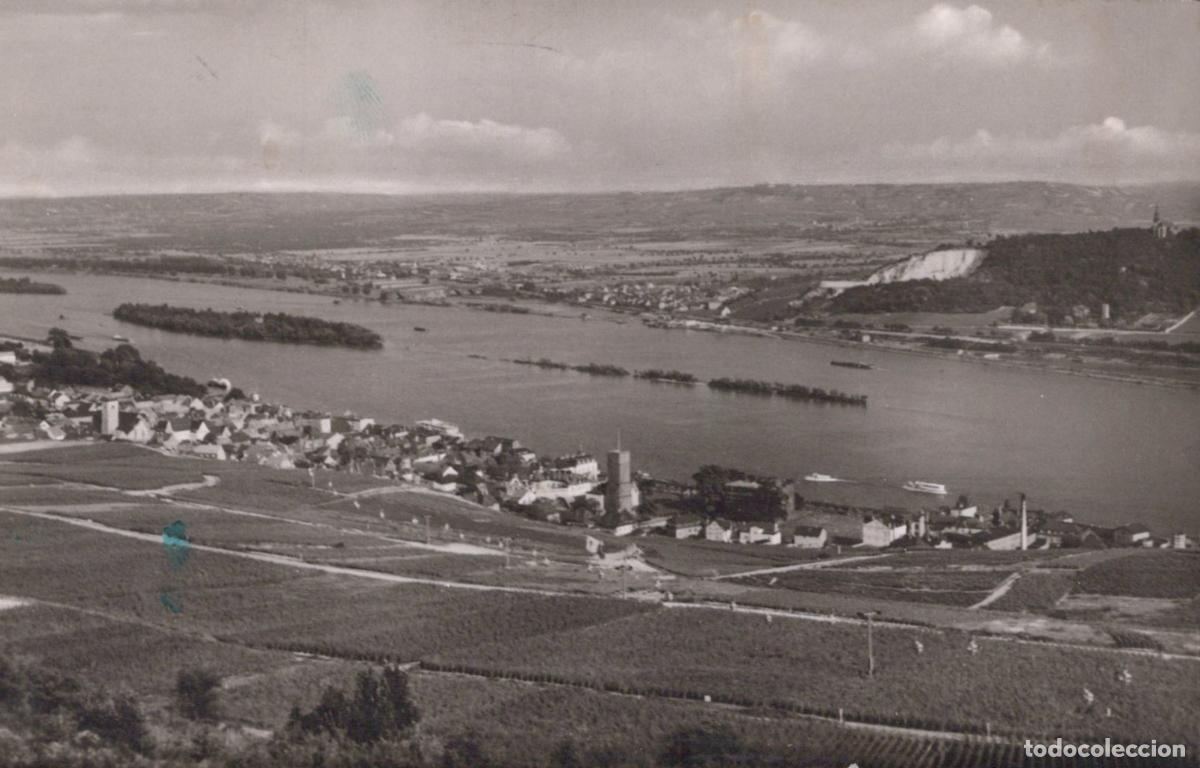 Postais: Germany R&uuml;desheim am Rhein And Rochusberg Panoramic View *YAW792