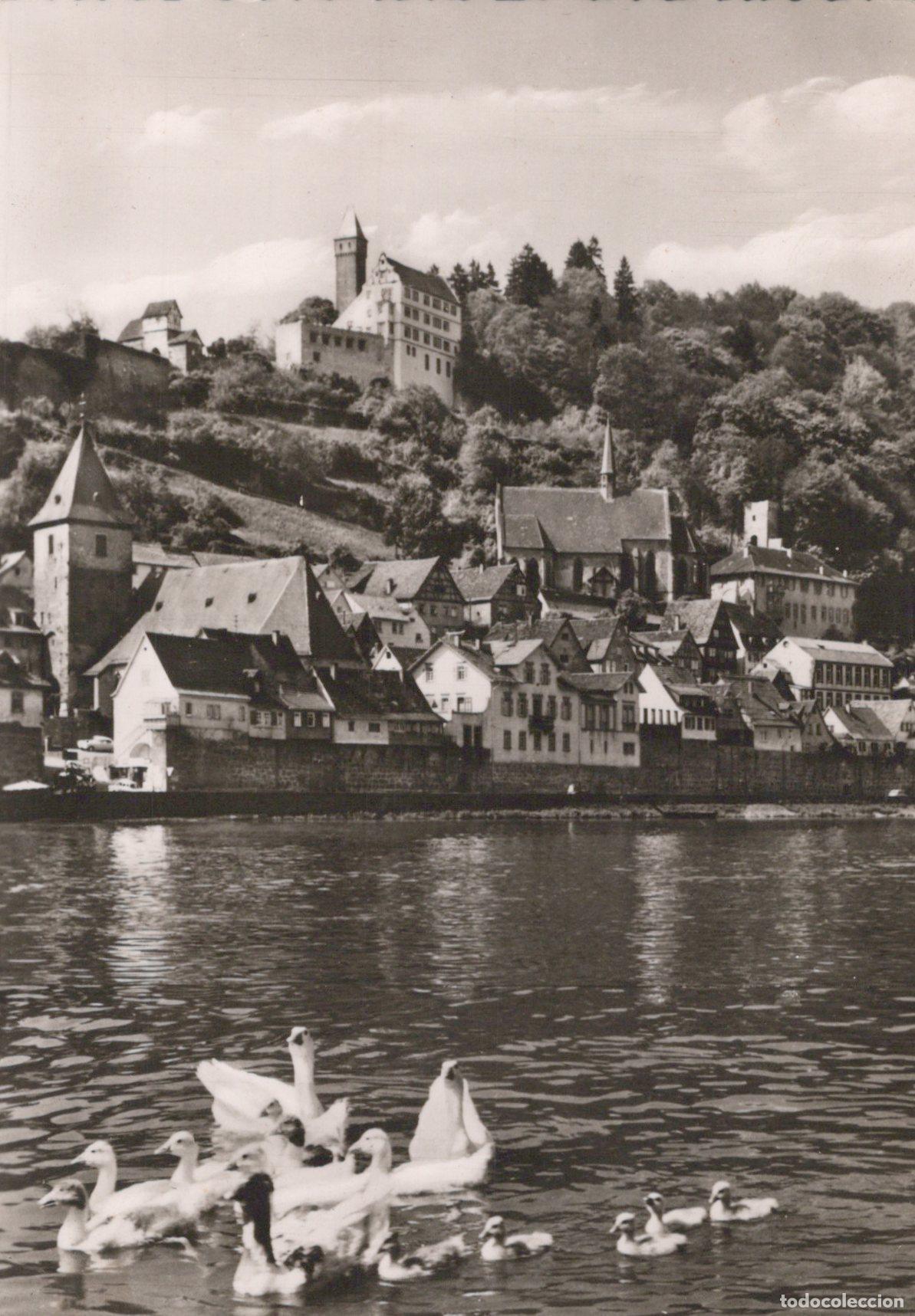 Postais: Germany Hirschhorn am Neckar Town View With Swans *YAW819