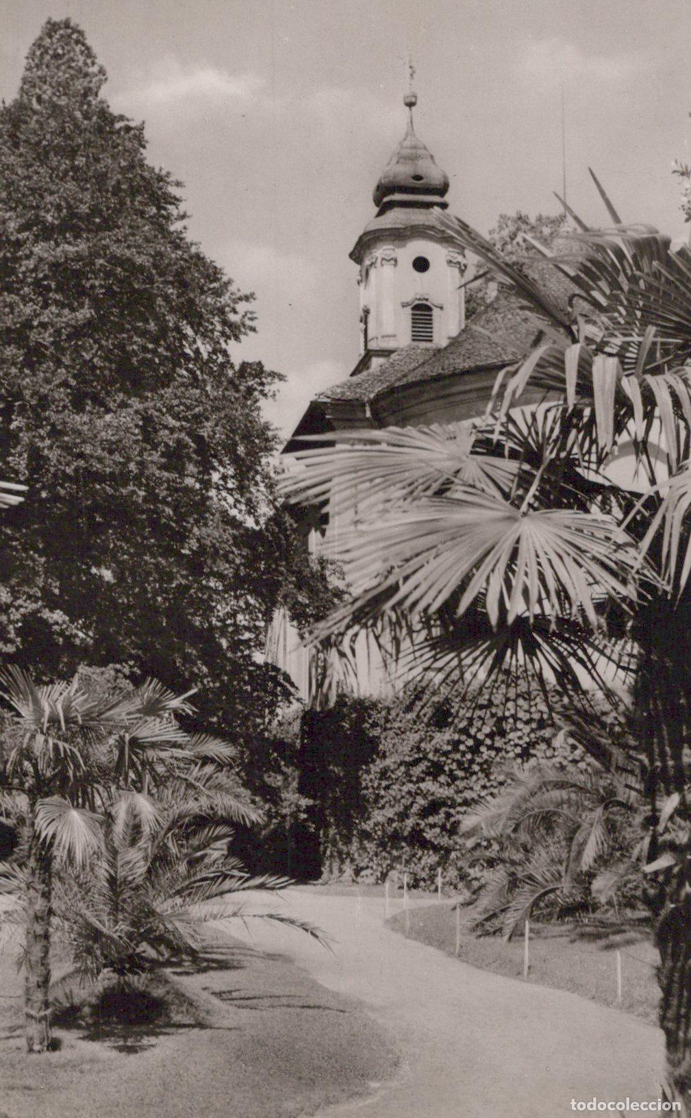 Postais: Germany Mainau Island Palace Church Palm Trees Lake Constance Vintage *YAW844