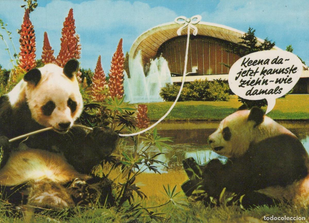 Cartoline: Germany Berlin Kongresshalle Pandas Comic Unposted *YAX127