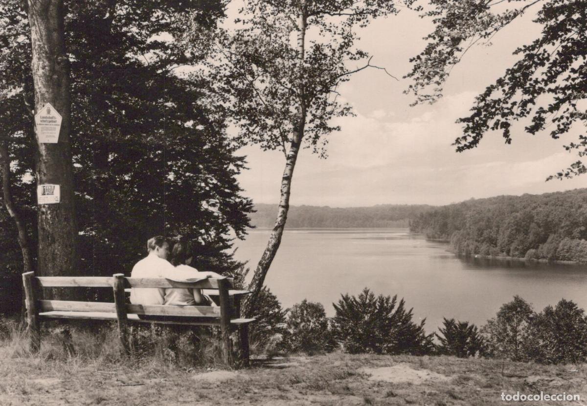 Cartoline: Germany Neuglobsow Couple On Bench Overlooking Lake and Forest 1970s *YAX829